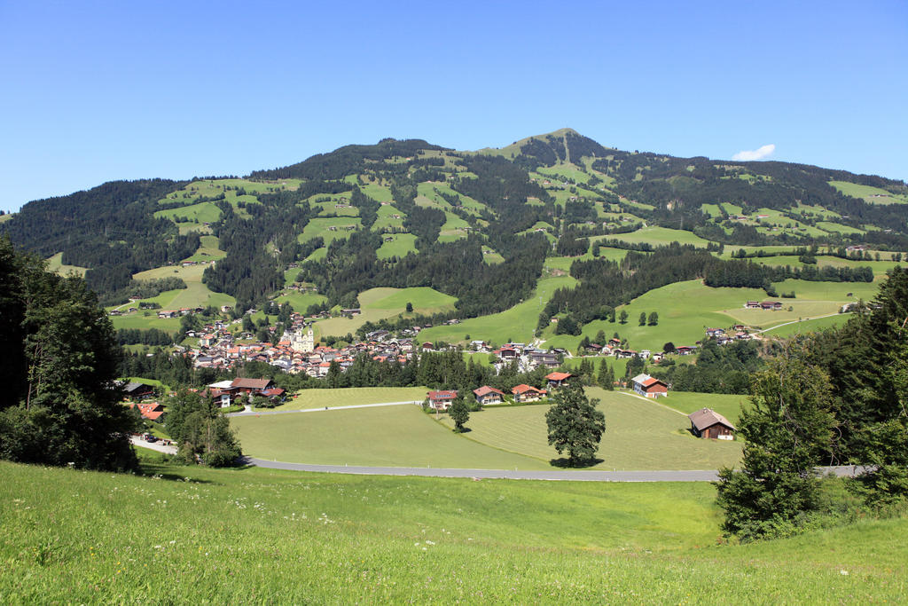 Ferienhaus Hinterebenhub Hopfgarten im Brixental Luaran gambar